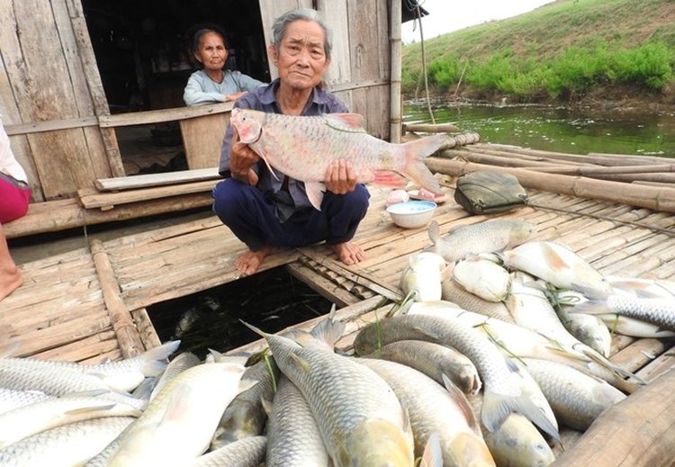 đơn vị xả thải ra sông bưởi hình ảnh