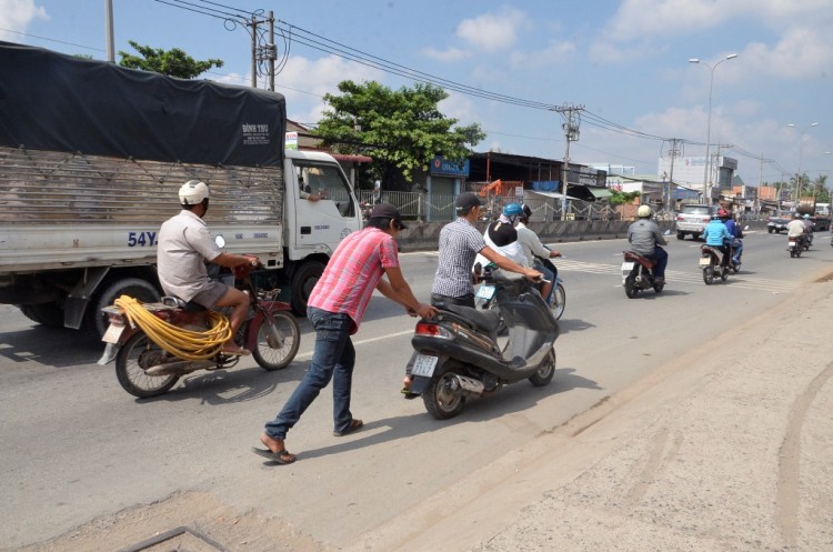 Đinh tặc hoành hành hình ảnh 1