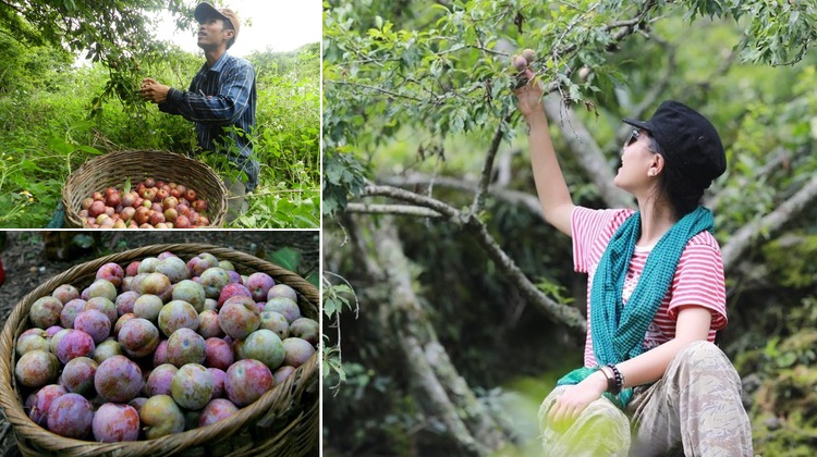 Tu tay hai man Bac hinh anh 1