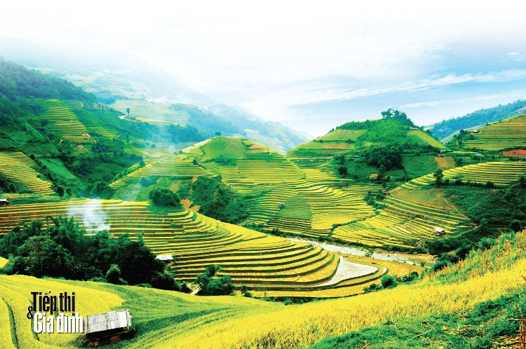 mu cang chai hinh anh 1