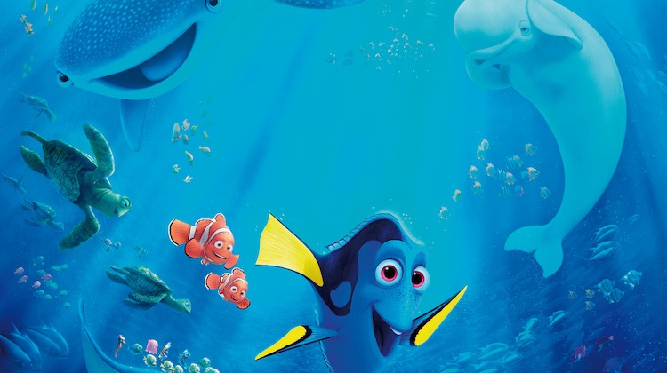 phim Di tim dory hinh anh 1