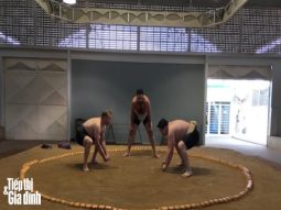 môn võ sumo ở brazil 2