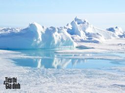 lỗ thủng tầng ozone ở bắc cực