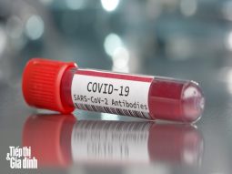 kháng thể chữa covid-19