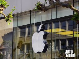 apple cam kết loại bỏ khí thải carbon hoạt động kinh doanh xanh