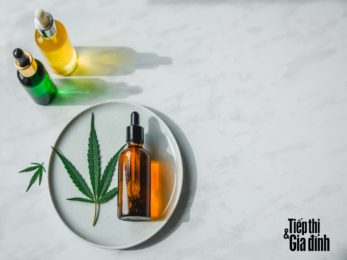 lợi ích của tinh dầu CBD đối với sức khoẻ