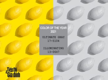 sắc màu chủ đạo năm 2021 pantone