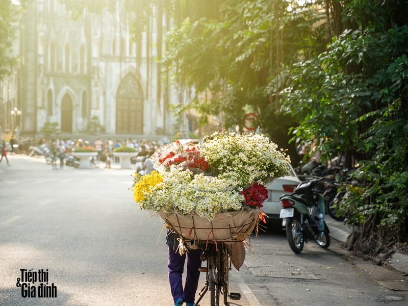 Tử vi 12 con giáp chủ nhật ngày 7/4/2024